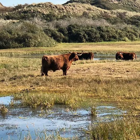 Anne's Family With Private Parking זנדוורט