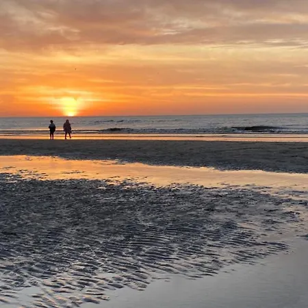 Semesterbostad Anne's Family With Private Parking Zandvoort